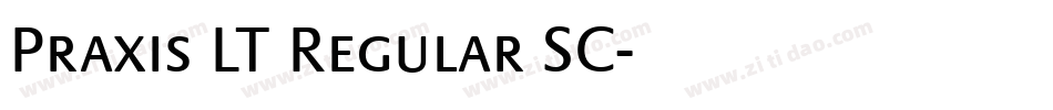 Praxis LT Regular SC字体转换